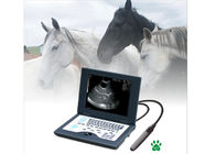 China Laptop CLS5800 Veterinärultraschall-Scanner-voll Digital-Ultraschalldiagnosesystem usine