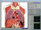 Diagnose-3d Nls Gesundheits-Analysator des vollen Körper-, Prüfgerät der Zellen3d fournisseur