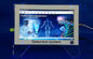 Körper-Gesundheits-Analysator Touch Screen Quantum magnetischer Rezonance fournisseur