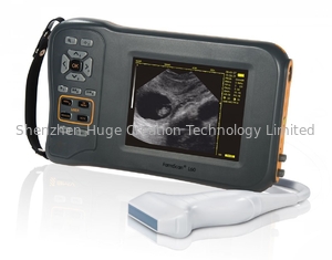 China Mono-Bildschirm-Veterinärultraschall-Scanner L60 mit 32 Digital-Kanälen fournisseur
