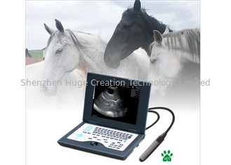 China Laptop CLS5800 Veterinärultraschall-Scanner-voll Digital-Ultraschalldiagnosesystem fournisseur