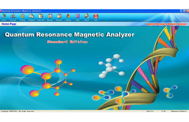 Mini-Gesundheits-Analysator-Resonanz Quantum Bio-Elektrische ganze magnetisch fournisseur