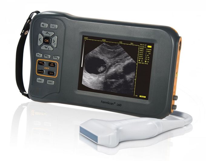 Mono-Bildschirm-Veterinärultraschall-Scanner L60 mit 32 Digital-Kanälen