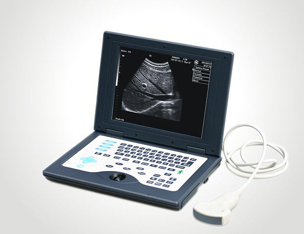 Laptop CLS5800 Veterinärultraschall-Scanner-voll Digital-Ultraschalldiagnosesystem
